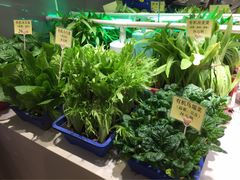 -赶海部落海鲜城(海阳路店)