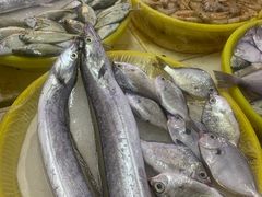 -板桥海鲜广场(文明东店)