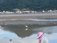 -北岐滩涂