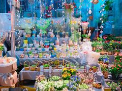 -循礼门鲜花花市(武汉循礼门店)