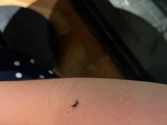 -Wagas沃歌斯(大学路店)