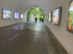 -深圳国际园林花卉博览园