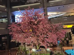 -上海银星皇冠假日酒店