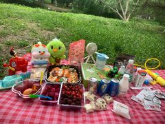 -长白岛森林公园