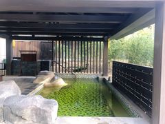 -北京乐多港万豪酒店汤乐宫温泉