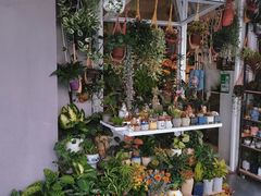 -溪岸路花鸟市场
