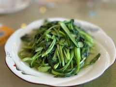 清炒小青菜-七的湖·江南蟹舫·阳澄湖农家菜(蟹舫苑店)