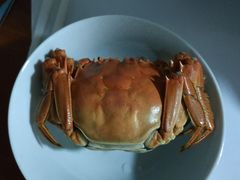 -黄记大闸蟹专卖店·活蟹·醉蟹