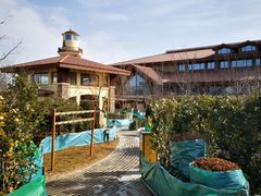 -大连金石滩绿发温泉假日酒店