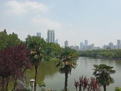 -月湖风景区