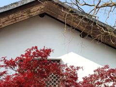 -同里国家湿地公园