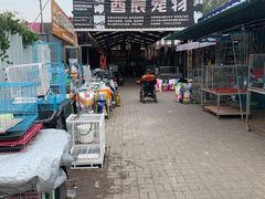 -中环花鸟鱼虫市场