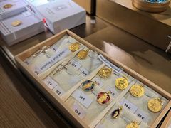 -巴黎圣母院