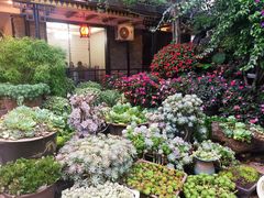 -山菌美食苑(振兴路店)