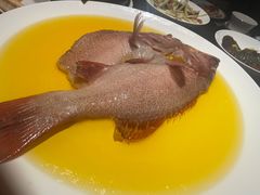 -甄御•海鲜新青岛菜(麦岛店)