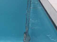 -金泽21世纪美术馆