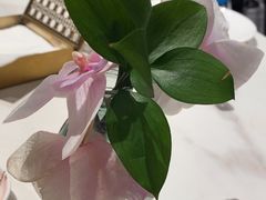 -厨艺海鲜自助餐厅•越秀宾馆希尔顿格芮精选酒店