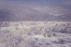 -大秃顶子山(雪谷店)