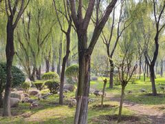 -西安浐灞国家湿地公园