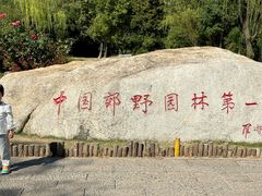 -习家池
