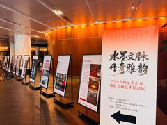 -合肥大剧院