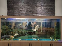 -食悦江南·淮扬菜·烤鸭(亚运村·惠新店)