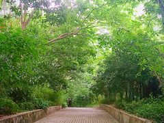 -西湖风景区-江洋畈生态公园