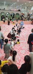 -宝燕乐园(春申店)