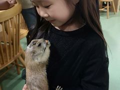 -藦茜花园宠物主题亲子互动体验馆(国顺东路店)