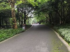 -峨眉山报国寺