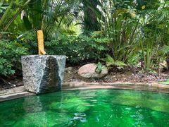 -碧桂园润杨溪谷温泉酒店