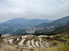 -紫鹊界梯田景区