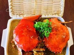 -茉莉.Red Crab