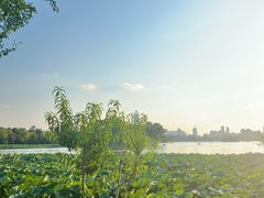 -济南大明湖景区
