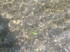 -华蓥山天意谷景区