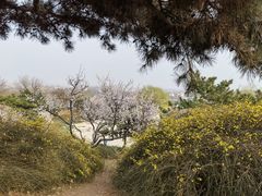 -北京西山国家森林公园