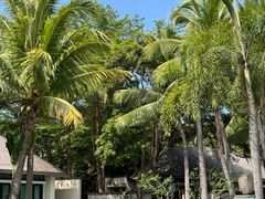 -海南清水湾莱佛士酒店