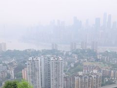 -南山植物园