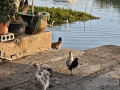 -东钱湖旅游度假区