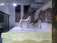 -大连圣亚海洋世界