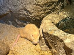 -酷嗒动物文化乐园(cutezoo西溪乐天城店)