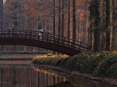 -黄海国家森林公园