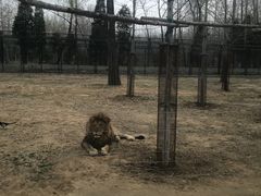 -秦皇岛野生动物园