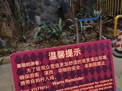 -广州长隆国际大马戏