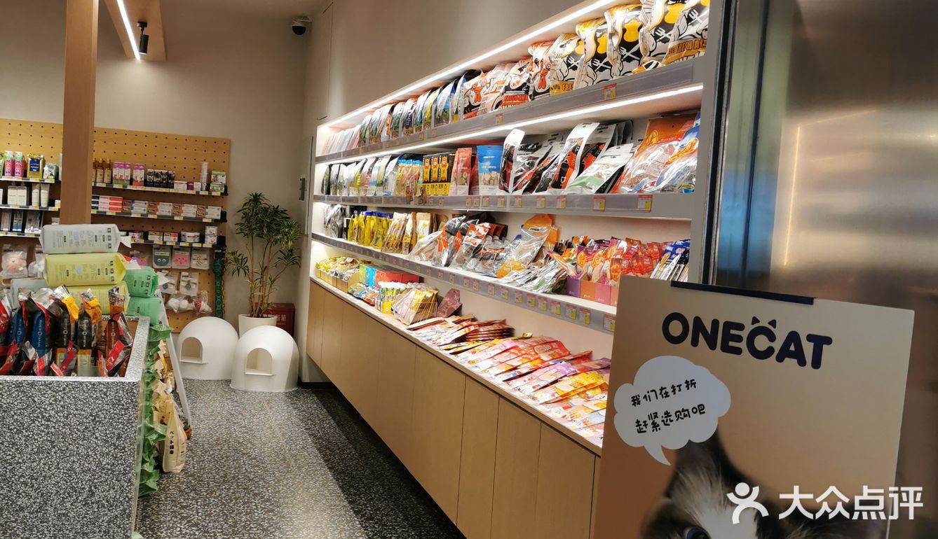 OneCat布偶猫咖~~可可爱爱,超级治愈