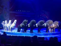 -珠海横琴长隆《卡卡虎奇遇记》