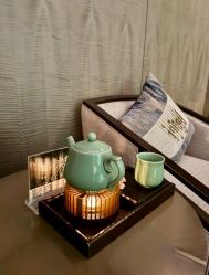 -VELEE·SPA高定疗愈会所