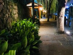 -运河游船(武林门码头)