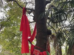 -敬亭山风景名胜区