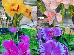 -国家植物园南园